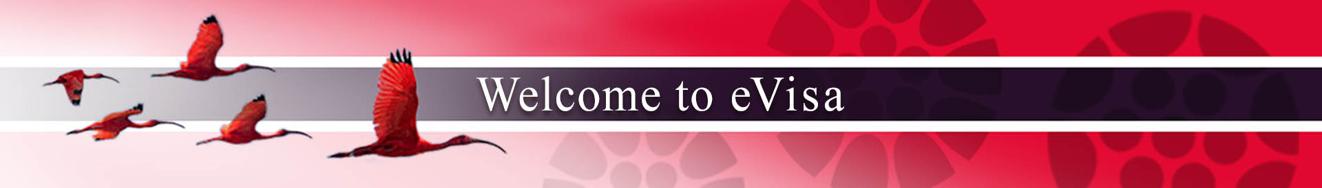 eVisa_Permit_banner_Feb-21-2024